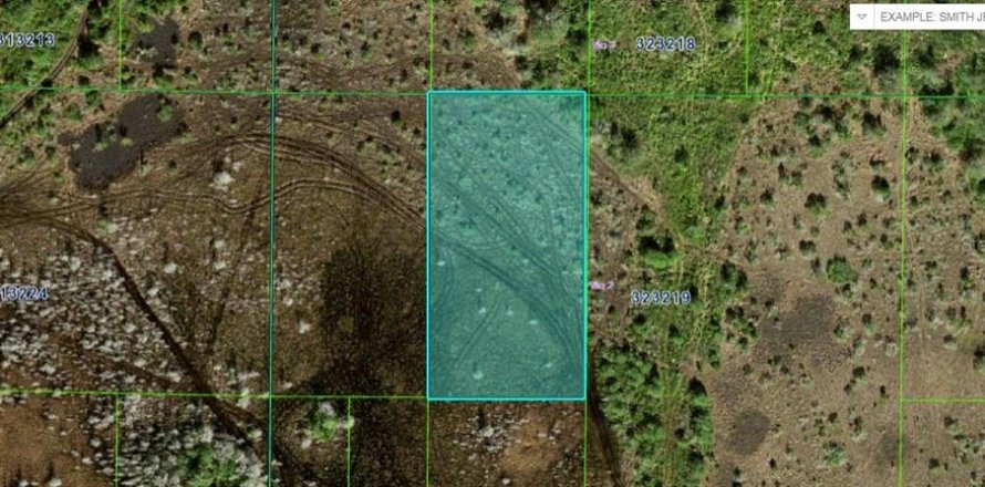 Terreno en Frostproof, Florida № 2164038