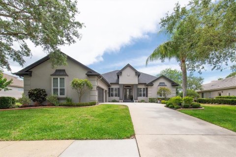 Villa ou maison à vendre à Palm Harbor, Floride: 4 chambres, 364.55 m2 № 1687627 - photo 1