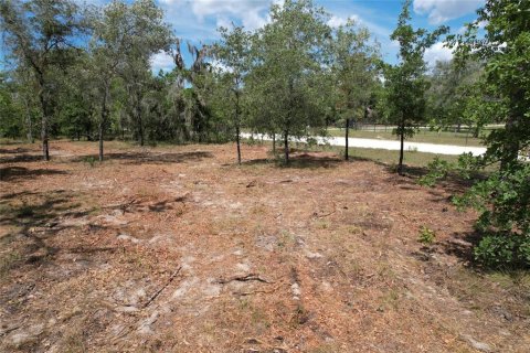 Terrain à Morriston, Floride № 2228252