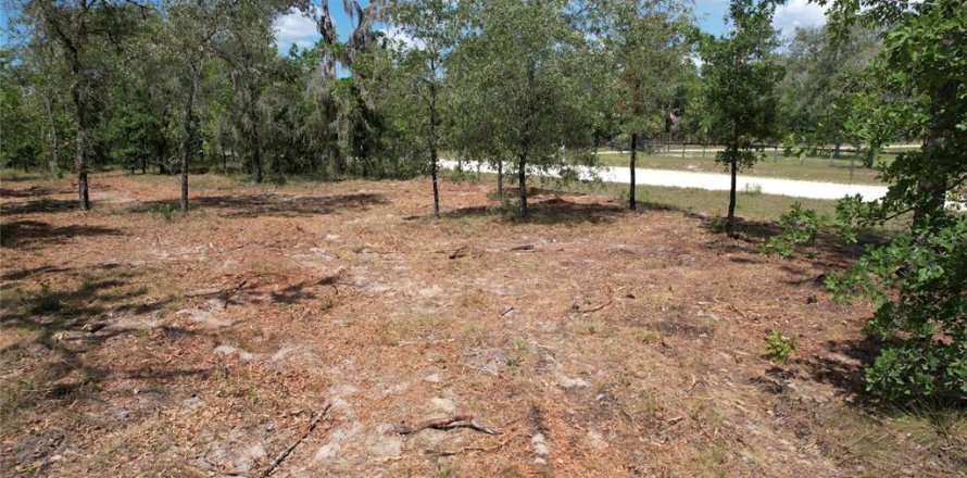 Terrain à Morriston, Floride № 2228252