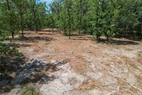 Terrain à vendre à Morriston, Floride № 2228252 - photo 6
