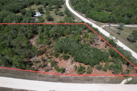 Terrain à vendre à Morriston, Floride № 2228252 - photo 8