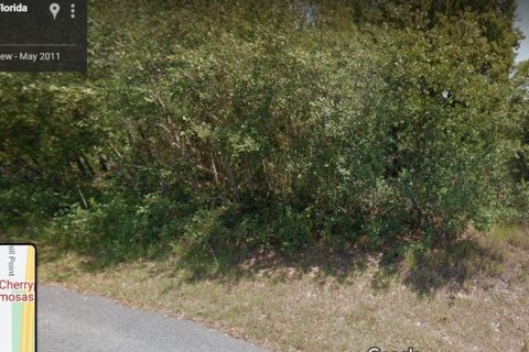 Terrain à Homosassa, Floride № 2224223