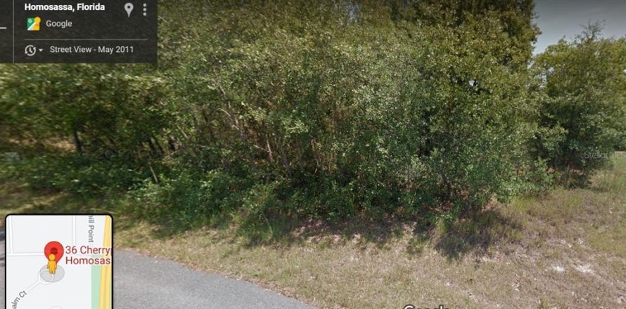 Terrain à Homosassa, Floride № 2224223