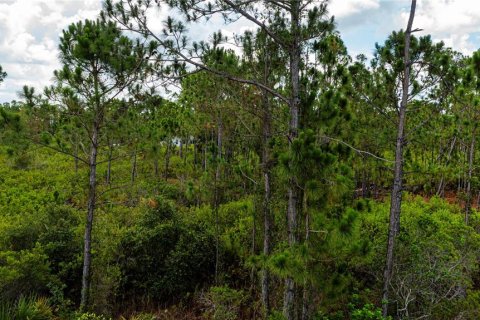 Land in Port Charlotte, Florida № 2231825 - photo 23