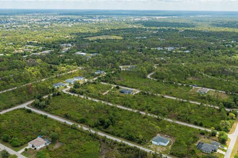 Land in Port Charlotte, Florida № 2231825 - photo 16