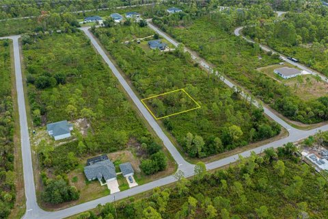 Land in Port Charlotte, Florida № 2231825 - photo 11