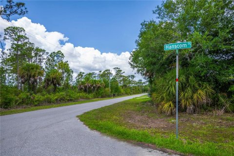 Land in Port Charlotte, Florida № 2231825 - photo 6