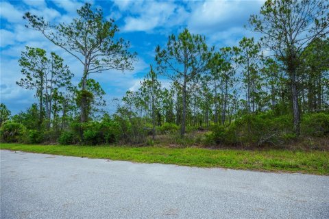 Land in Port Charlotte, Florida № 2231825 - photo 20