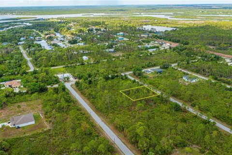 Land in Port Charlotte, Florida № 2231825 - photo 8