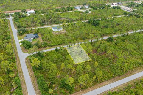 Land in Port Charlotte, Florida № 2231825 - photo 2