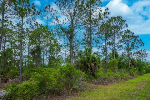 Land in Port Charlotte, Florida № 2231825 - photo 4