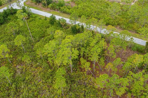 Land in Port Charlotte, Florida № 2231825 - photo 26
