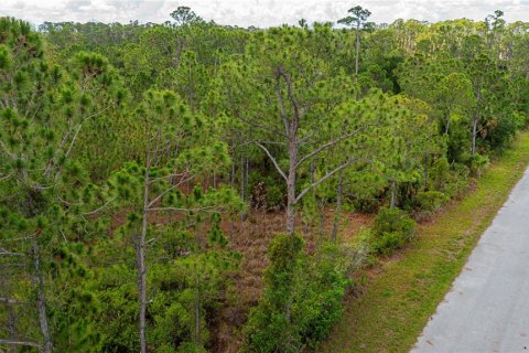 Land in Port Charlotte, Florida № 2231825 - photo 21