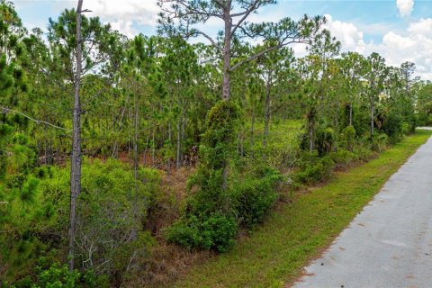 Land in Port Charlotte, Florida № 2231825 - photo 22