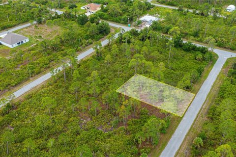 Land in Port Charlotte, Florida № 2231825 - photo 29