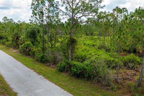 Land in Port Charlotte, Florida № 2231825 - photo 25