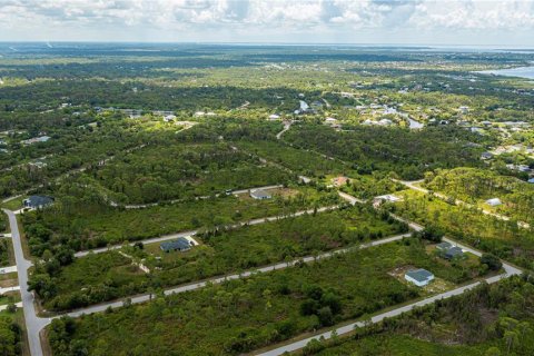 Land in Port Charlotte, Florida № 2231825 - photo 14