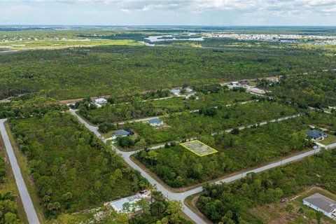 Land in Port Charlotte, Florida № 2231825 - photo 27