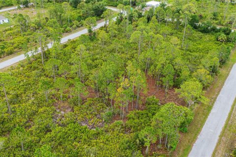 Land in Port Charlotte, Florida № 2231825 - photo 9