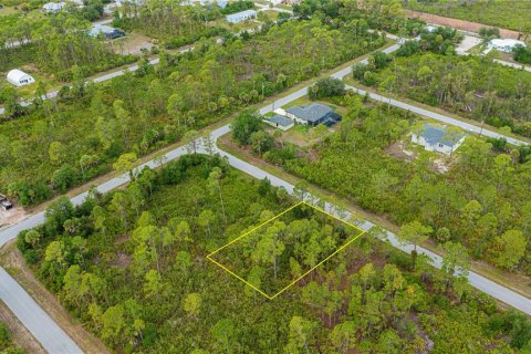 Land in Port Charlotte, Florida № 2231825 - photo 19