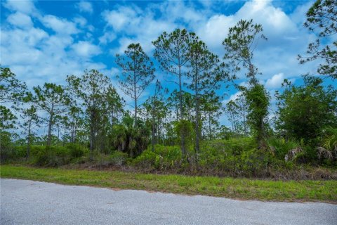 Land in Port Charlotte, Florida № 2231825 - photo 5