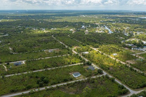 Land in Port Charlotte, Florida № 2231825 - photo 15