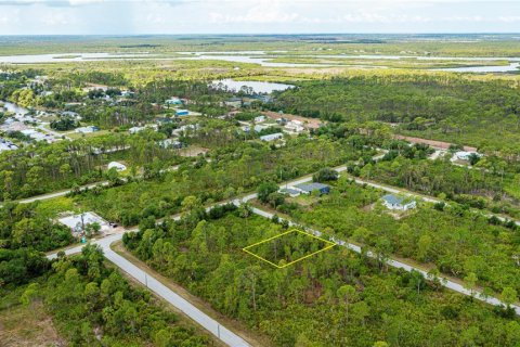 Land in Port Charlotte, Florida № 2231825 - photo 28