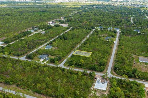 Land in Port Charlotte, Florida № 2231825 - photo 12