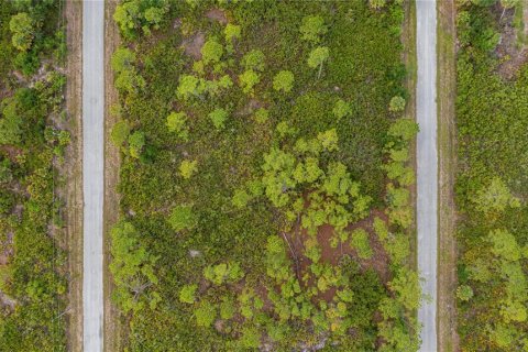Land in Port Charlotte, Florida № 2231825 - photo 13