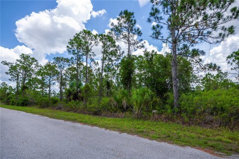 Land in Port Charlotte, Florida № 2231825 - photo 30