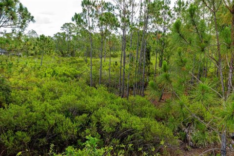 Land in Port Charlotte, Florida № 2231825 - photo 24