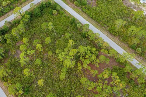 Land in Port Charlotte, Florida № 2231825 - photo 18