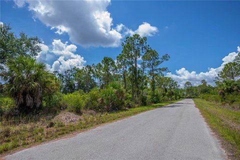 Land in Port Charlotte, Florida № 2231825 - photo 3