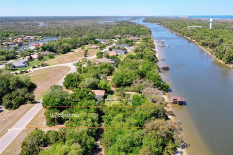 Terreno en venta en Palm Coast, Florida № 1551447 - foto 3