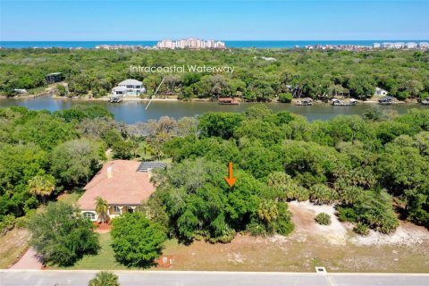 Terreno en venta en Palm Coast, Florida № 1551447 - foto 2