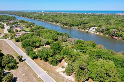 Terreno en venta en Palm Coast, Florida № 1551447 - foto 1