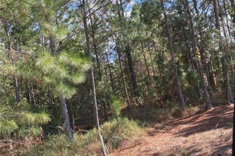 Land in Polk City, Florida № 2148755