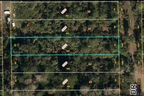 Land in Christmas, Florida № 2161398 - photo 2