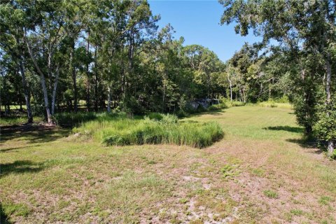 Terrain à vendre à New Port Richey, Floride № 1905735 - photo 6
