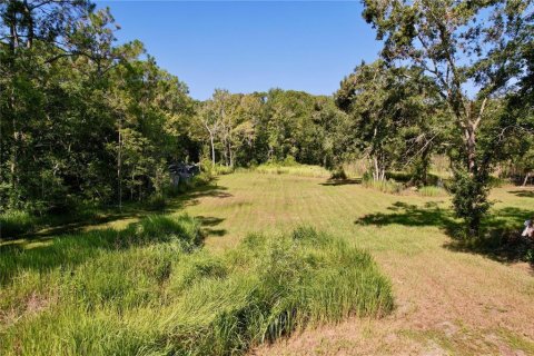 Terrain à vendre à New Port Richey, Floride № 1905735 - photo 5