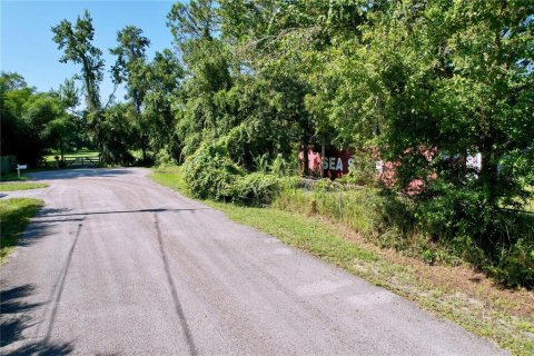 Terrain à vendre à New Port Richey, Floride № 1905735 - photo 3