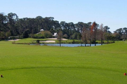 Terreno en venta en Tavares, Florida № 1003990 - foto 11