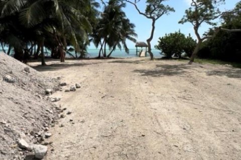 Купить земельный участок в Исламорада, Вилладж оф Айлендс, Флорида № 2058397 - фото 4
