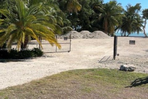 Купить земельный участок в Исламорада, Вилладж оф Айлендс, Флорида № 2058397 - фото 3