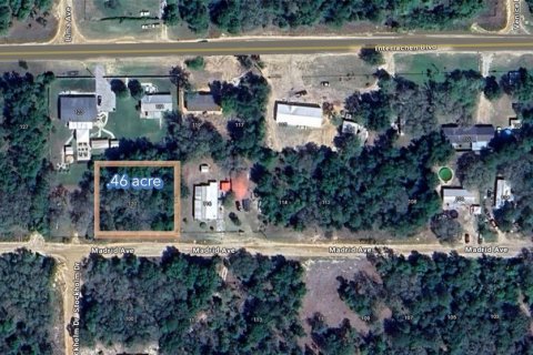 Terreno en venta en Interlachen, Florida № 2164438 - foto 2