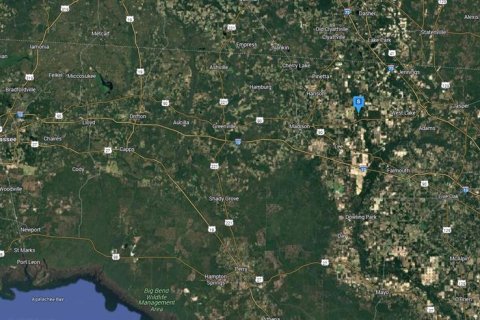 Land in Lee, Florida № 1819144 - photo 6