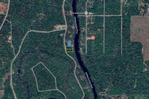 Land in Lee, Florida № 1819144 - photo 3