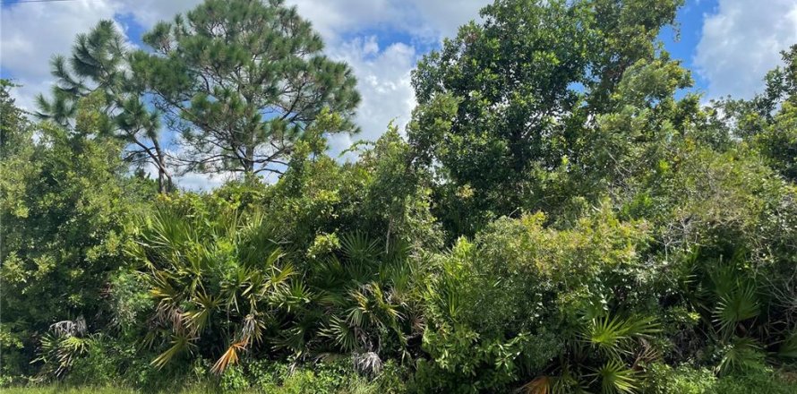 Land in Palm Coast, Florida № 695539