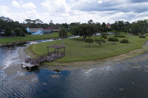 Villa ou maison à vendre à Spring Hill, Floride: 5 chambres, 335.38 m2 № 1907267 - photo 29